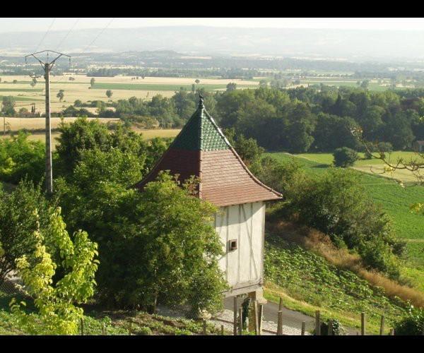 Rénovation de toiture ancienne en tuiles plates – Albi- Les charpentiers du Lauragais