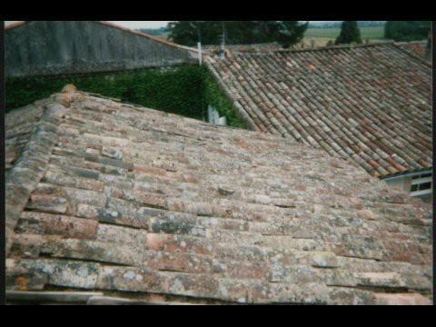 Rénovation tuiles canal –  Albi – Les charpentiers du Lauragais