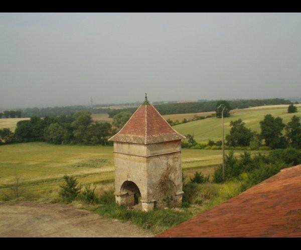 Toit tuiles plates – Castelnaudary- Les charpentiers du Lauragais