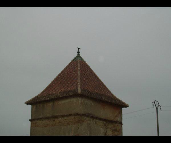 Toit ardoises – Carcassonne – Les charpentiers du Lauragais