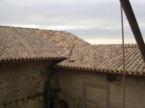 tuiles canal – Castelnaudary – Les charpentiers du Lauragais